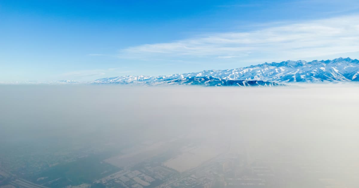 Optimum Pest Control Expands Mosquito Management Services in New York City with Enhanced Treatment Solutions