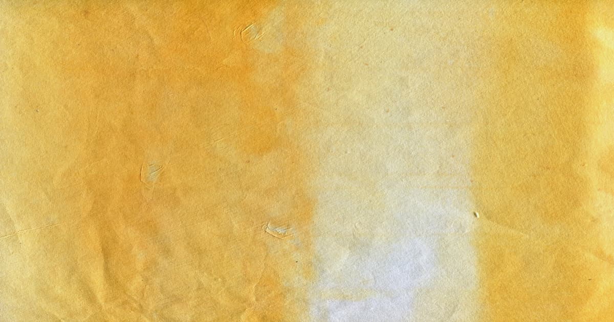 Shincheonji Volunteer Group Conducts Beach Cleanup in New York, Announces Monthly Service Projects