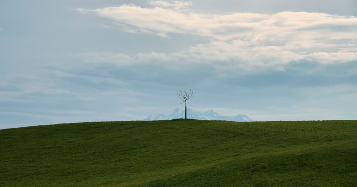 PowerBank Corporation Secures Municipal Approvals for Two 14.4 MW Community Solar Projects in Skaneateles, New York